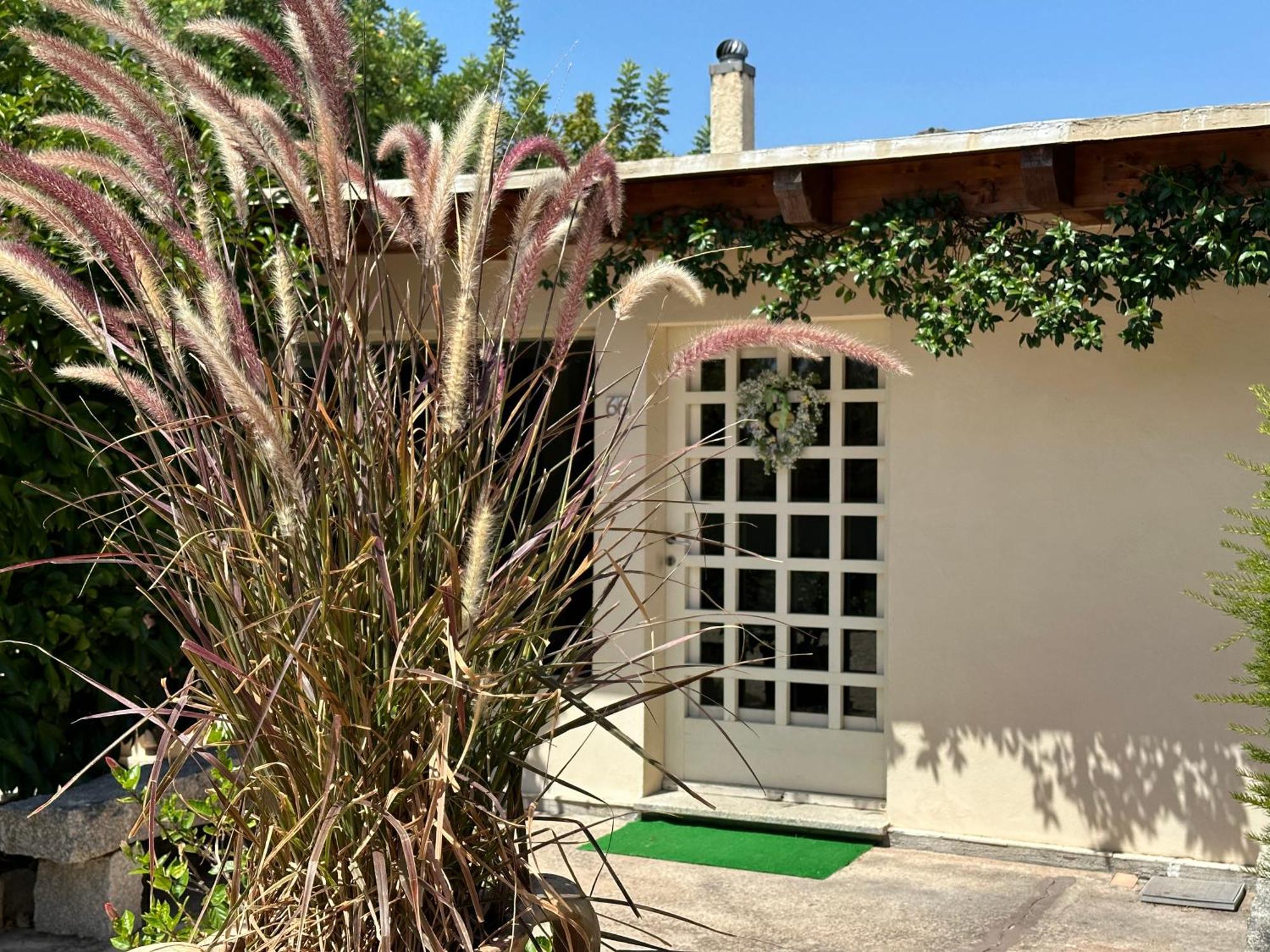אולביה Villa Niloan מראה חיצוני תמונה