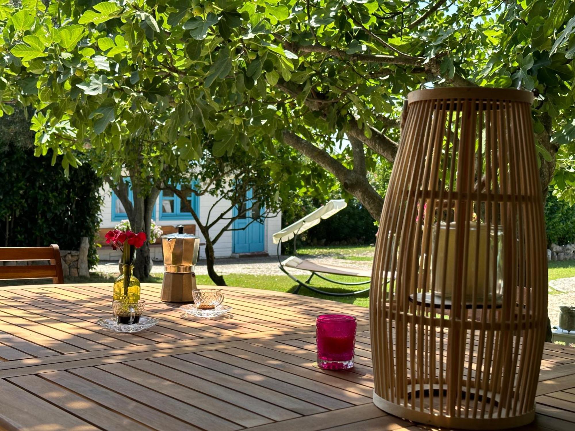 אולביה Villa Niloan מראה חיצוני תמונה