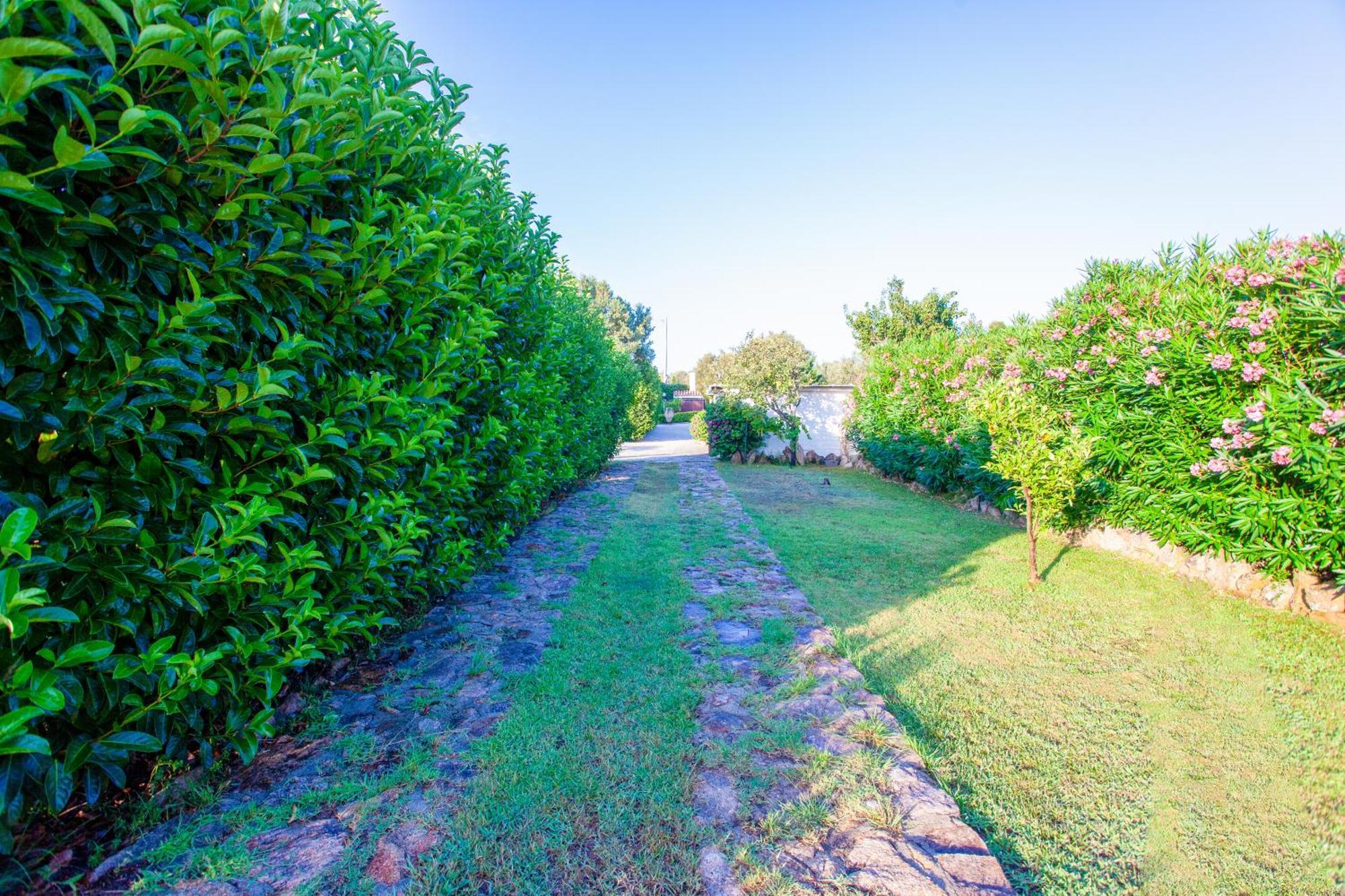 אולביה Villa Niloan מראה חיצוני תמונה